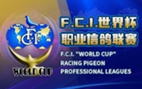 World Cup_index